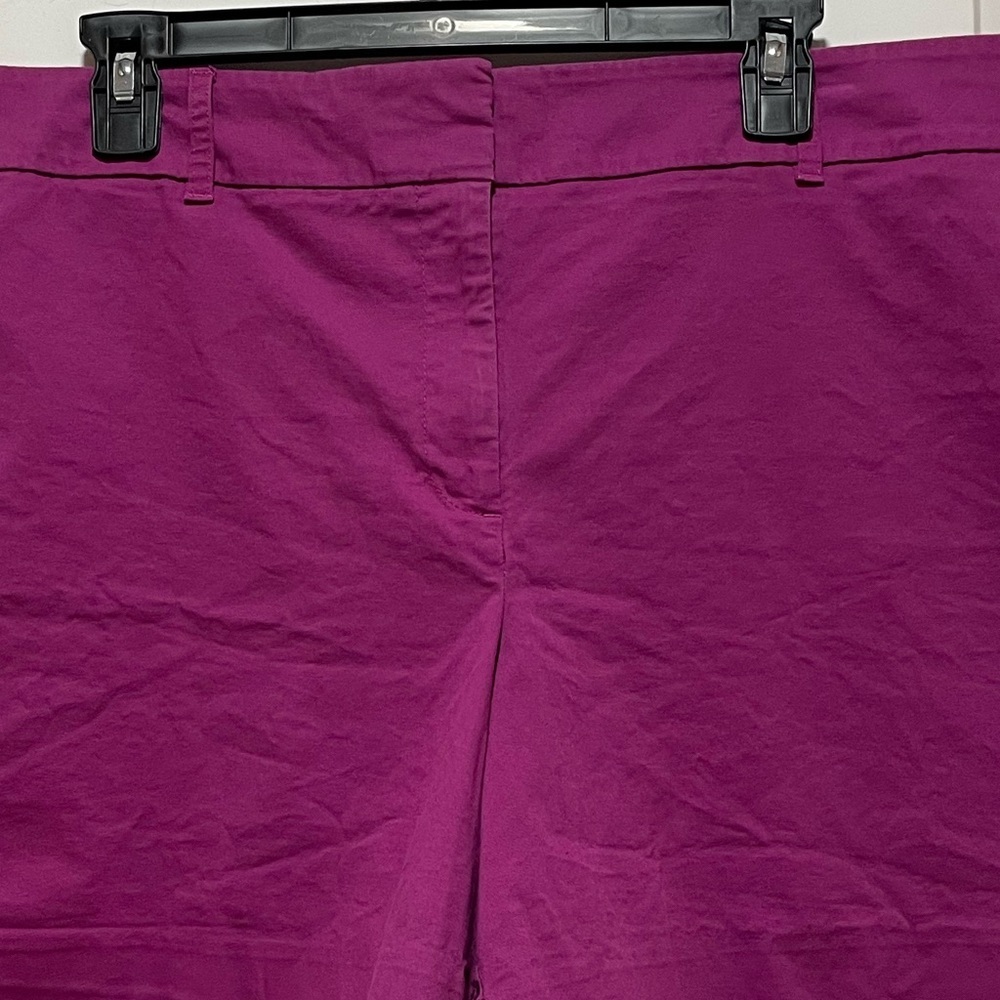 Vibrant Ann Taylor Womens Plus Size 18 Violet Purple Preppy Casual Chino Shorts - Picture 2 of 9